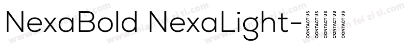 NexaBold NexaLight字体转换